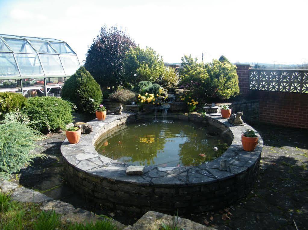 Eastcote Luxury Guest House Clyst Saint Mary Eksteriør billede